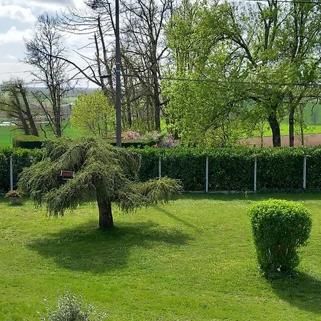 Au Chant Des Cigales